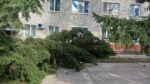 В Белокурихе устраняют последствия шторма